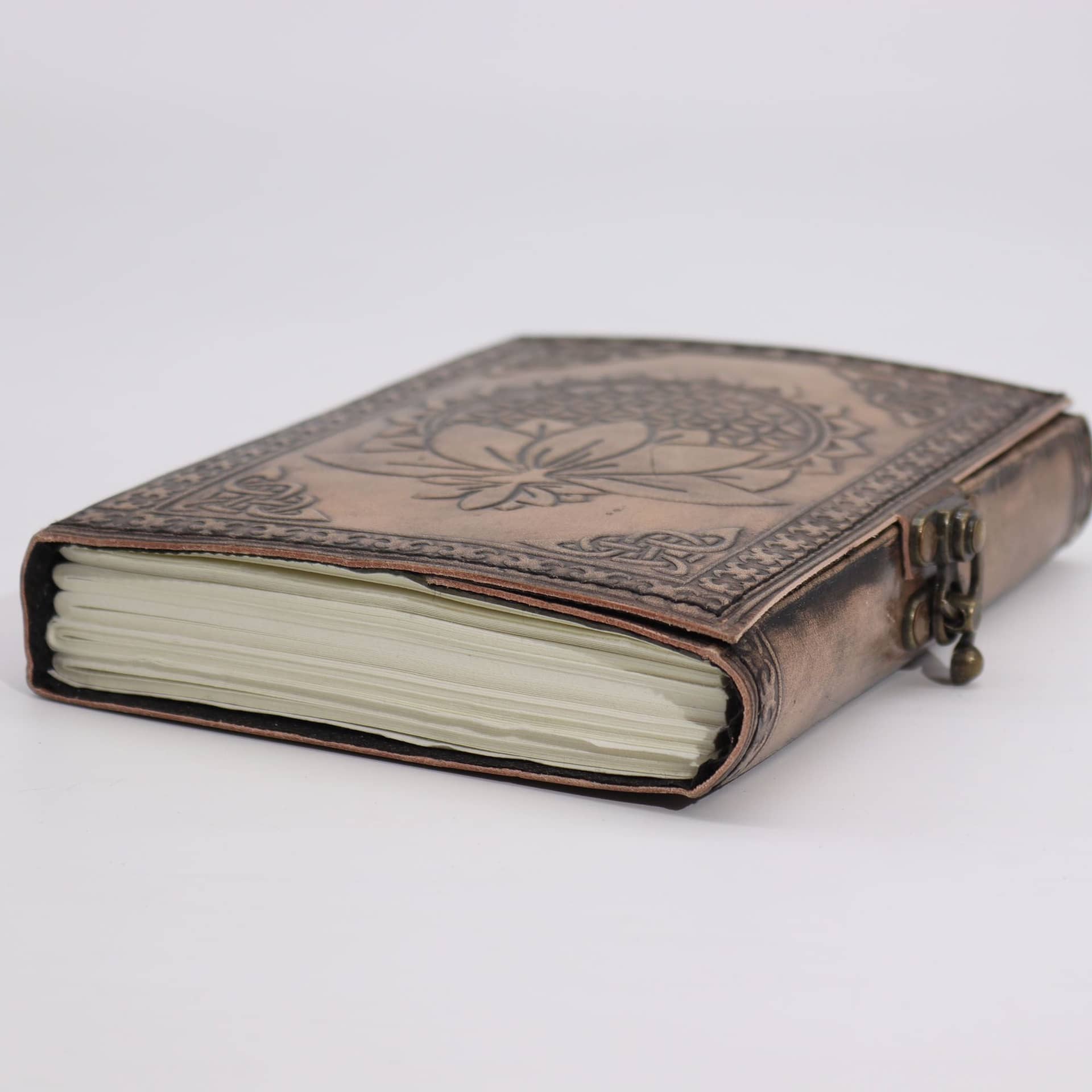 Esoteric notebook open to show its pages