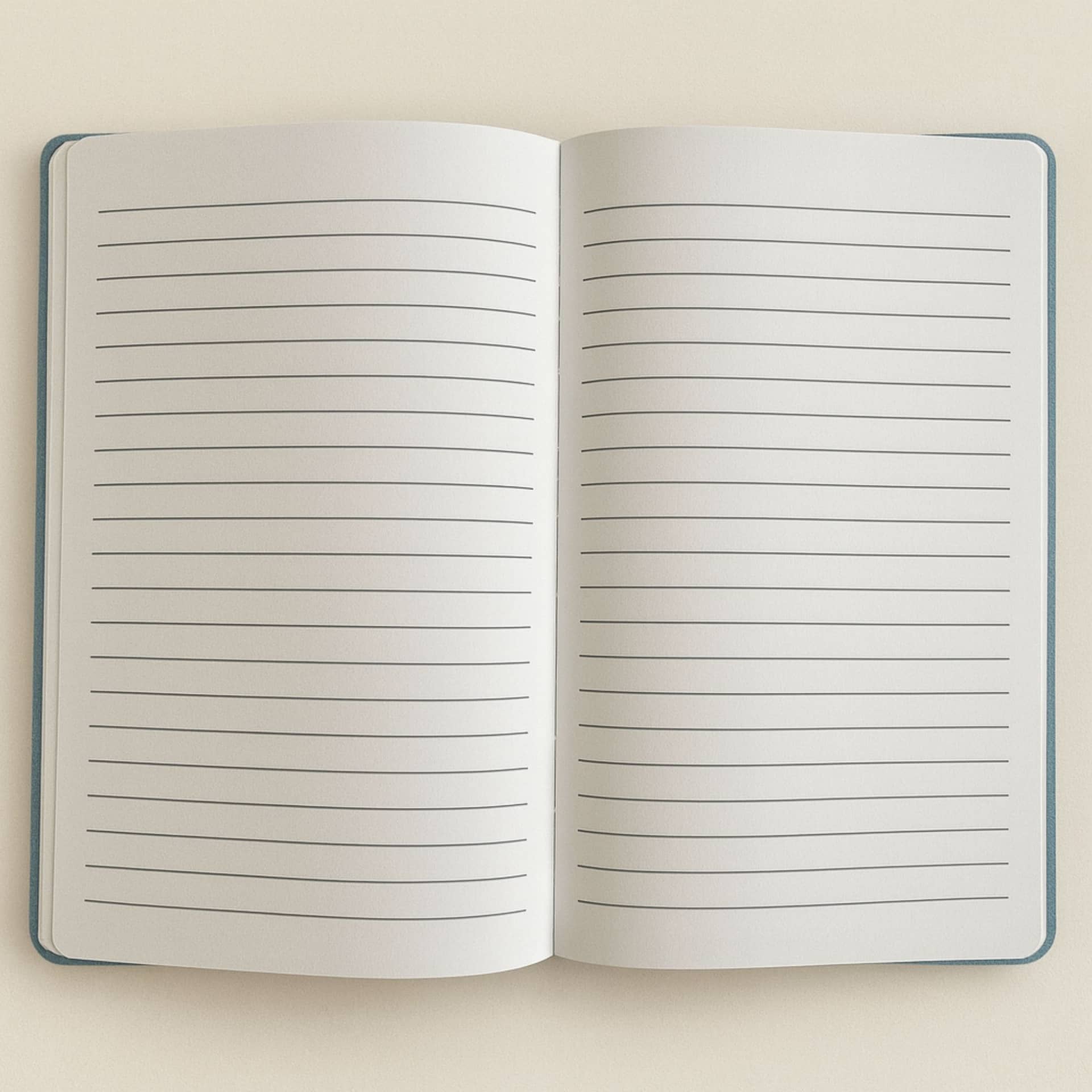 Light blue velvet notebook open to lined pages