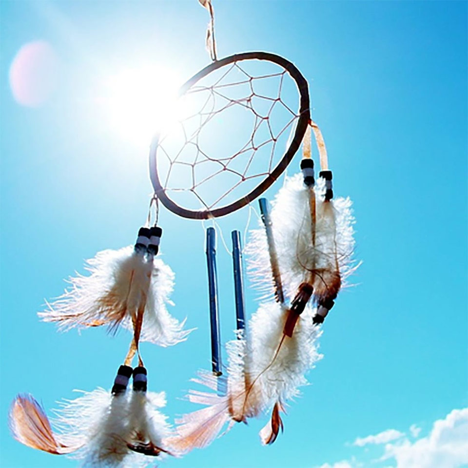 Shamanic Healing/Energy Healing Diploma Course Centre of Excellence