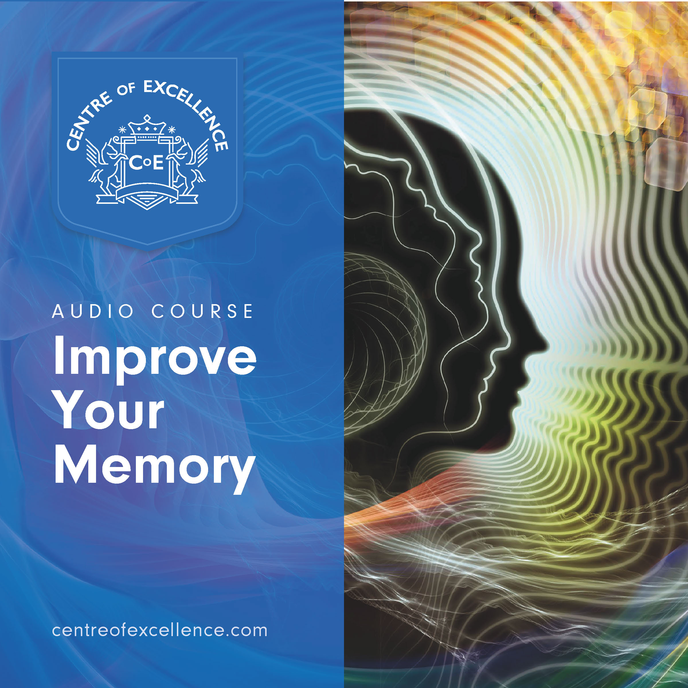 Improve Your Memory Book