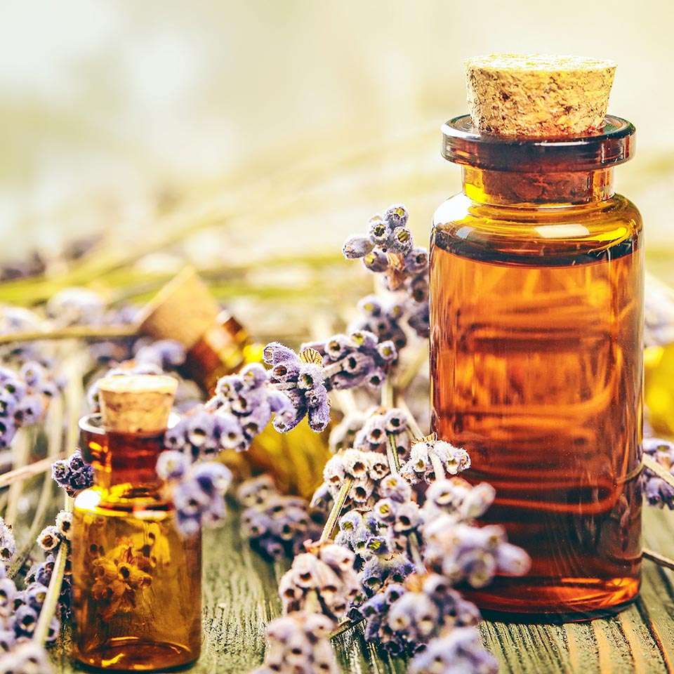 Bach Flower Remedies Diploma Course Centre of Excellence