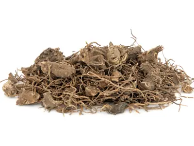 Black Cohosh: Uses, Benefits, & Side Effects