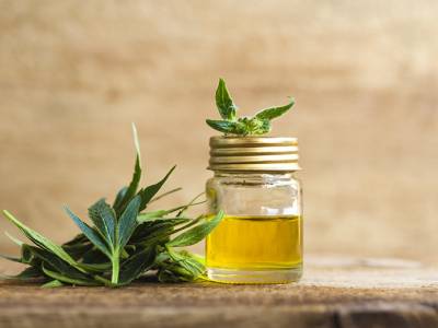 Medicinal Cannabis & CBD Oil: The Truth Behind the Taboos