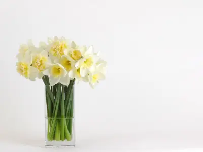The March Birth Flower and Its Meaning