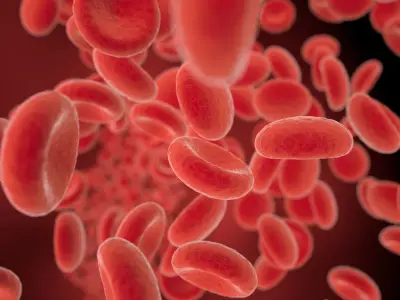 What Does it Mean When You Dream About Blood?