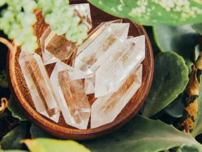 Best Crystals for Plants