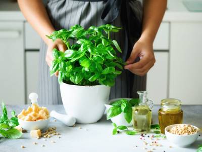 5 Delicious Spring Recipes to Make with Homegrown Basil