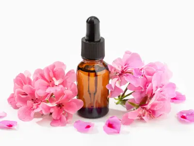 Geranium Oil for Your Skin: Uses and Benefits
