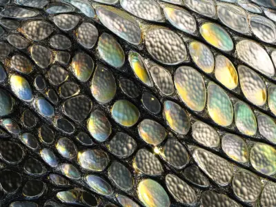 Reptillian Starseeds: Markings, Birthmarks & Traits