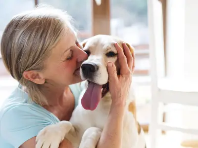 9 Signs That Your Deceased Pet is Visiting You