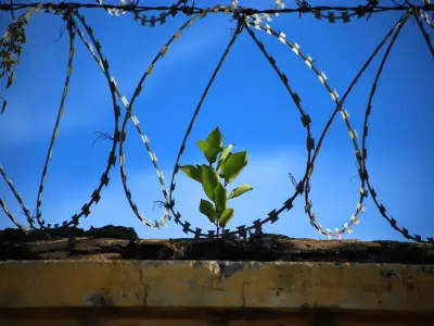 What is Restorative Justice in Criminology?
