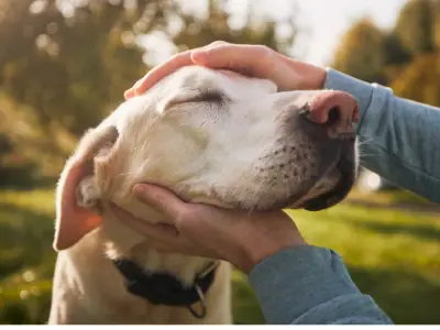 Which Dog Breeds Live the Longest?