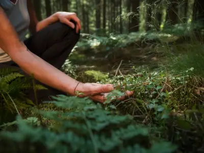 The Benefits of Shinrin Yoku - Forest Bathing