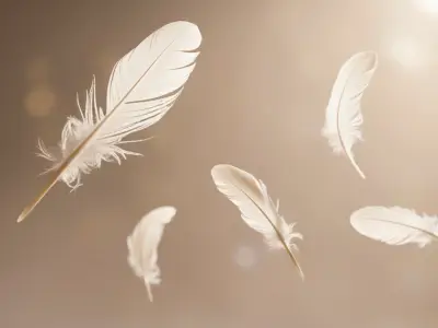 White Feather Meaning: Spiritual Symbolism & What It Means When You Find One