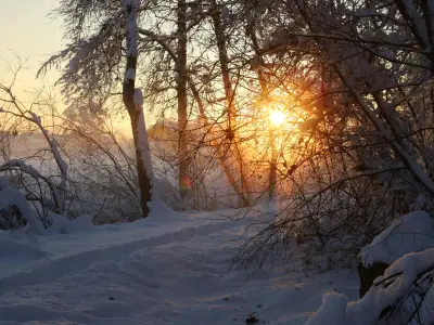 What is the Winter Solstice? Rituals and Reflection