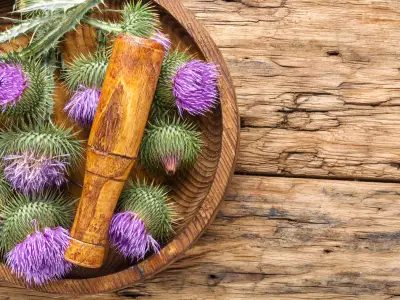 Milk Thistle: Uses, Benefits, and Side Effects