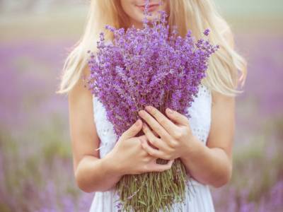 How to Care for Lavender to Help Alleviate Stress
