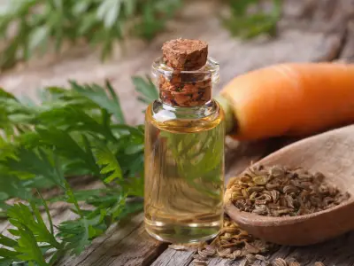 Carrot Seed Essential Oil for Your Skin: Uses and Benefits