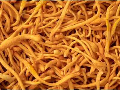 Cordyceps: Uses, Benefits, and Side Effects
