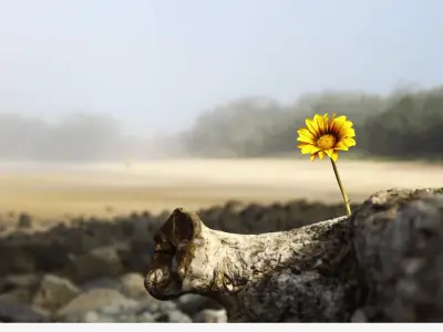From Hardship to Hope: Karen's Journey of Healing, Learning and Growth