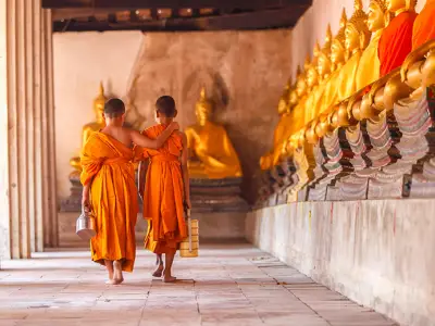 An In-Depth Guide to Buddhism's 4 Noble Truths