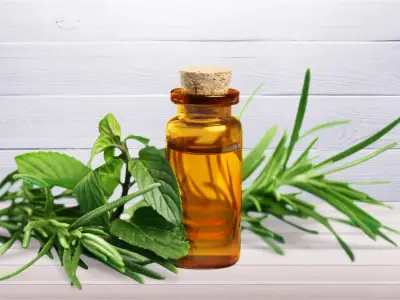 Tea Tree Oil for Your Skin: Uses and Benefits