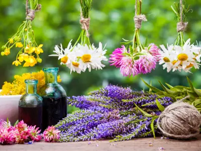 12 Herbs for Emotional Healing
