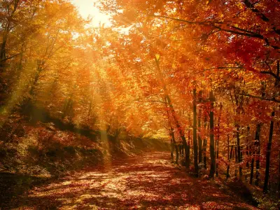 What is the Autumn Equinox? Rituals and Reflection
