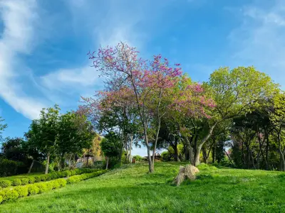 What is the Spring Equinox? Rituals and Reflection