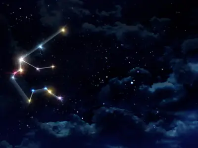 Aquarius Women: Characteristics, Traits, & Relationship Insights