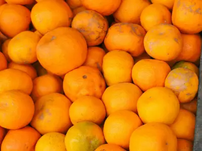 Orange Fruit Symbolism: What Do Oranges Represent Spiritually?