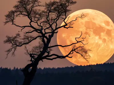 The Moon Tarot Card Meaning: Love, Health & Spiritual Insights