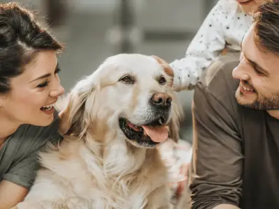 Which Dog Breeds Are the Most Affectionate?