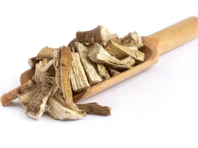 Marshmallow Root: Uses, Benefits, and Side Effects