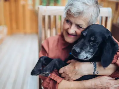 Which Dog Breeds Are the Best for Older Owners?