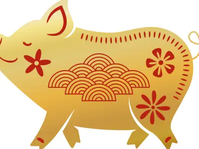 Year of The Pig: Traits, Compatibility & Personality
