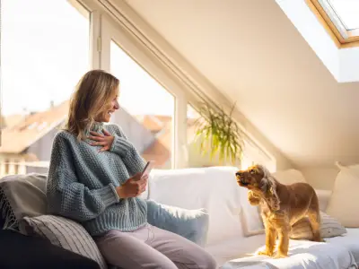 How to Train Your Dog to Stop Barking at the Doorbell