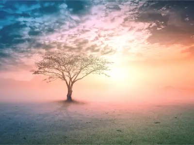 Tree of Life Tattoo Meaning: Symbolism & What It Represents