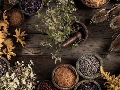 The Magic of Herbs - Herbs for Protection