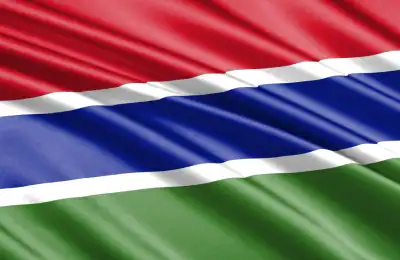 Gambia flag