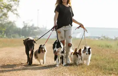 What Affects a Dog Trainer's Salary?