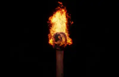 The Torch