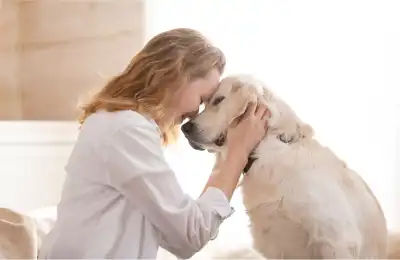 What is an Example of Positive Dog Training?