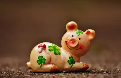 lucky pig asia