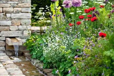 Various different garden flowers with stone wall and stream