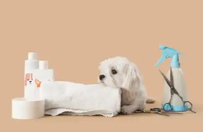 Dog Grooming Starter Kit