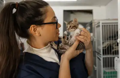 kitten being held by vet