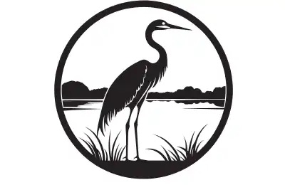 Herons in Different Cultures