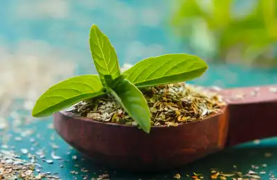 Holy Basil