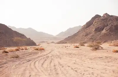 Image of a desert.